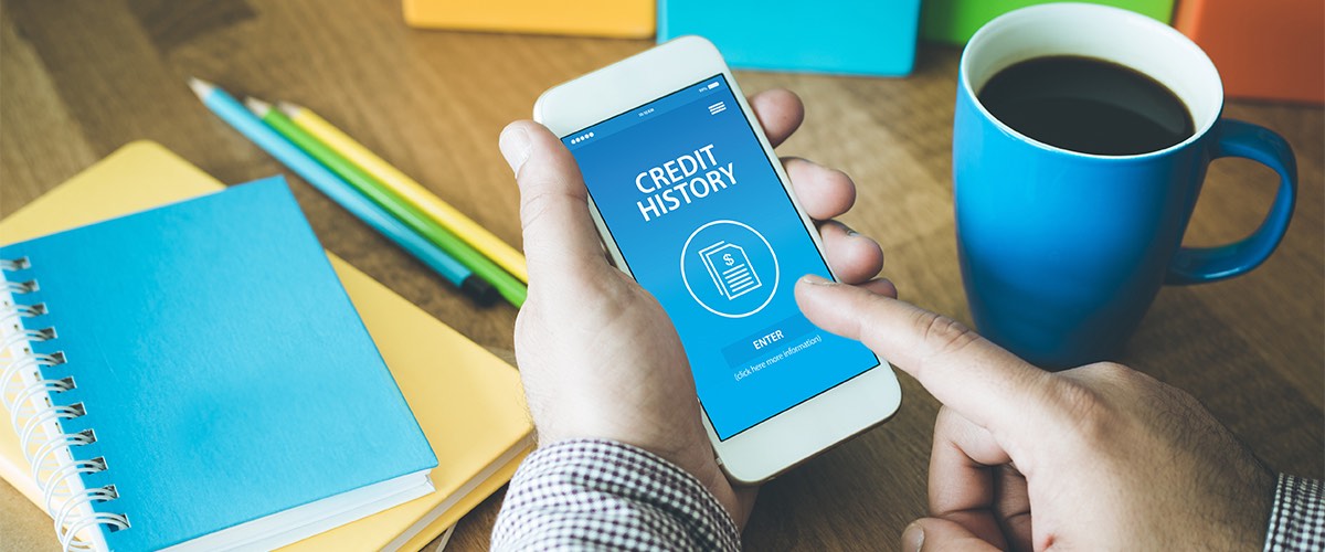 Hands holding a phone that reads "Credit History"