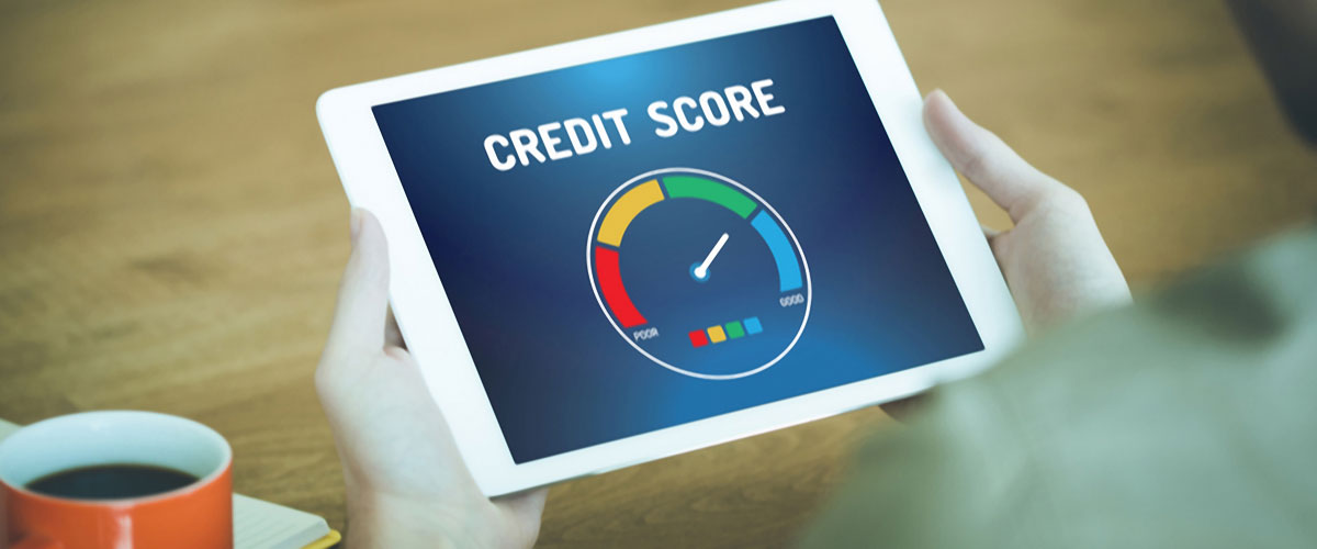Person looking at credit score online