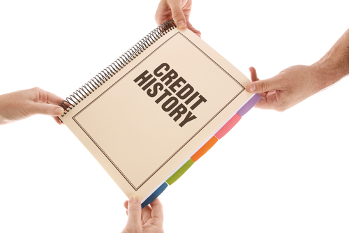 Bound Document Saying Credit History on White Background