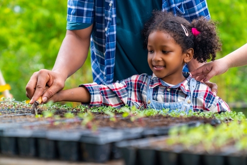 little girl gardens with parents behind her