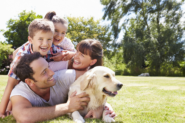 family playing with their dog
