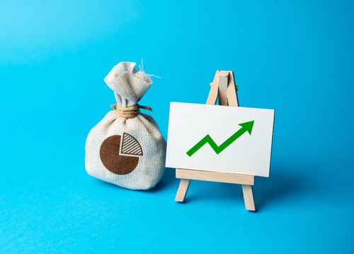 Money bag with budget and up arrow.
