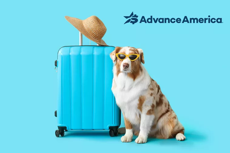 A dog wearing sunglasses sits in front of a light blue suitcase and sun hat.